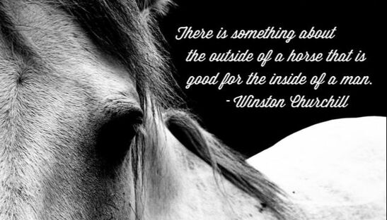 Winston quote with horse photo